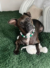 Load image into Gallery viewer, Luck of the Irish Bead Collar