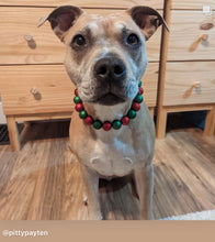 Load image into Gallery viewer, Christmas Frost Bead Collar