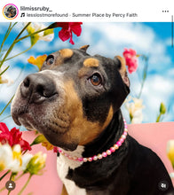 Load image into Gallery viewer, Sunset XS Mermaid Pearl Bead Collar
