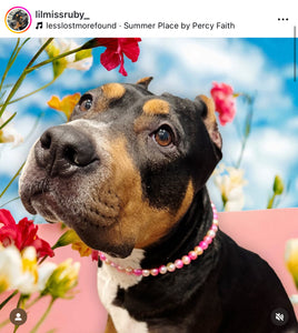 Sunset XS Mermaid Pearl Bead Collar