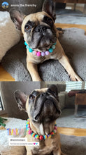 Load image into Gallery viewer, Unicorn Glam 🦄 Bead Collar