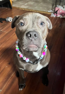 Rainbow Tie Dye Skull Candy Bead Collar