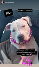 Load image into Gallery viewer, Chunky Pink Horizon Pearls Acrylic Bead Collar