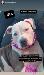 Chunky Pink Horizon Pearls Acrylic Bead Collar