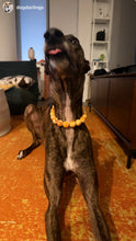 Load image into Gallery viewer, Caramel Resin Bead Collar