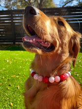 Load image into Gallery viewer, Be My Valentine Bead Collar