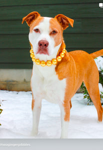 Chunky Golden Yellow Pearls Acrylic Bead Collar