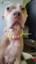 Load image into Gallery viewer, Citrus Sunrise Bead Collar