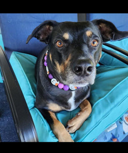Purple Boo 👻 Halloween Glow Bead Collar