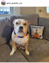 Load image into Gallery viewer, Witching Hour Halloween Bead Collar