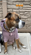 Load image into Gallery viewer, Moonbeam Acrylic Bead Collar