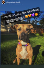Load image into Gallery viewer, Witching Hour Halloween Bead Collar