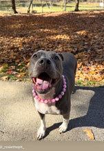 Load image into Gallery viewer, Add-on Only: LARGE &amp; XL JUMBO Personalized Alphabet Letter Beads (Custom Names)
