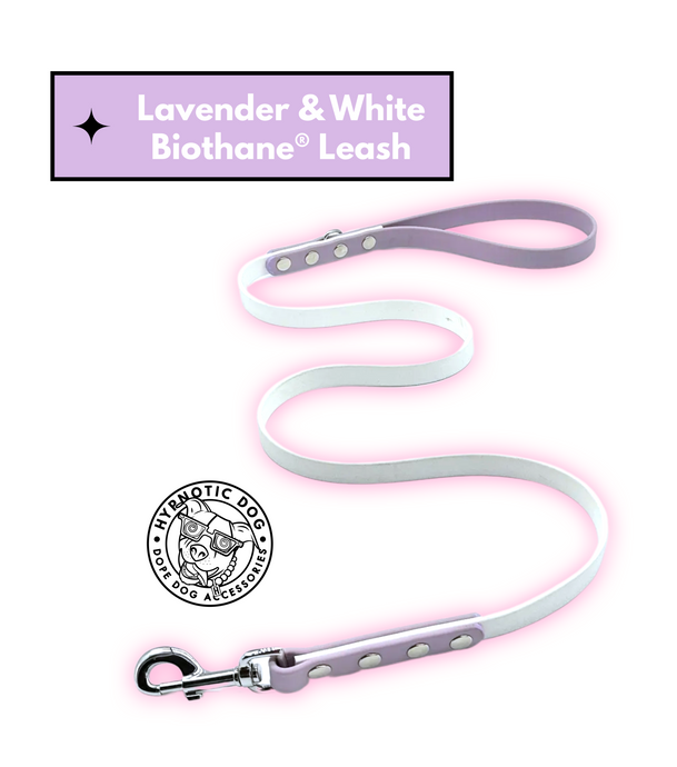 Lavender & White Biothane Leash ◻️