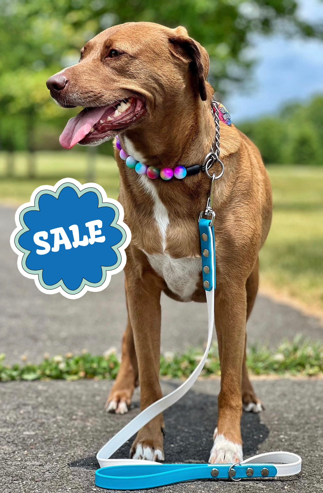 4 Foot Waterproof Leash ◾️ - SALE (Thin D-Ring, Ready to