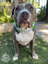 Load image into Gallery viewer, 🏒 Dallas Stars NHL Inspired Bead Collar