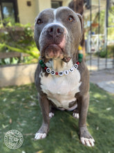 Load image into Gallery viewer, 🏒 Minnesota Wild NHL Inspired Bead Collar