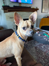 Load image into Gallery viewer, Starry Night Resin MINI [Small Dog/Cat Bead Collar]