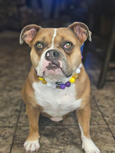 Load image into Gallery viewer, Minnesota Vikings NFL Inspired 🏈 Bead Collar