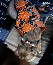 Load image into Gallery viewer, 🏈 College Football Team Colors Bead Collar