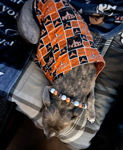 🏈 College Football Team Colors Bead Collar