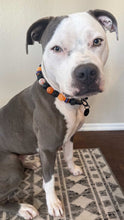 Load image into Gallery viewer, Trick or Treat Bead Collar