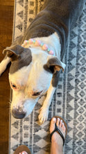 Load image into Gallery viewer, Pink &amp; Blue Candy Pop Bead Collar