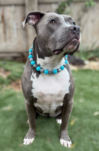 Load image into Gallery viewer, Arctic Sky Bead Collar
