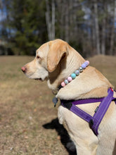 Load image into Gallery viewer, Mermaid Cove 🧜‍♀️ Bead Collar