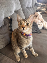Load image into Gallery viewer, MINI Spellbound [Small Dog/Cat Bead Collar]