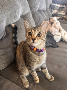 MINI Spellbound [Small Dog/Cat Bead Collar]