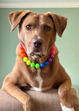 Load image into Gallery viewer, Rainbow Colorblock 🌈 Bead Collar