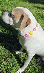 🌼 Multicolor Daisies 🌼 Silicone Bead Collar