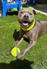 Load image into Gallery viewer, Neon Highlighter Yellow Triplo Acrylic Bead Collar