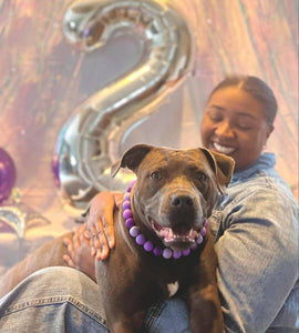 Purple Ombre Acrylic Bead Collar