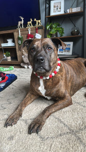 Candy Cane Bead Collar