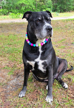 Load image into Gallery viewer, Birthday Cake 🎂💗🩵💛 Bead Collar