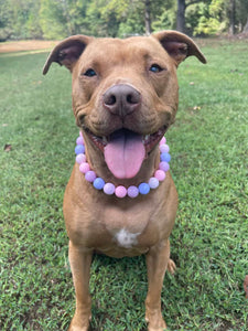 Pretty Princess Acrylic Bead Collar
