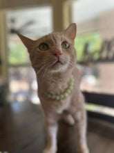Load image into Gallery viewer, Green Glow in the Dark XS Bead Collar