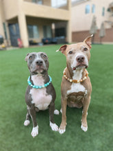 Load image into Gallery viewer, Gingerbread Mocha Glam Bead Collar