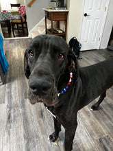 Load image into Gallery viewer, Firecracker ⭐️ Bead Collar
