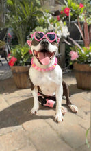Load image into Gallery viewer, PERSONALIZED Pink Daisy Bead Collar