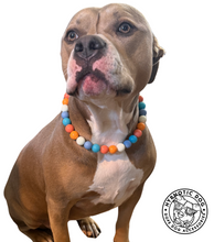 Load image into Gallery viewer, Orange Skyline Acrylic Bead Collar