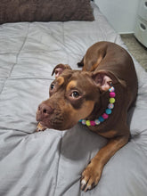 Load image into Gallery viewer, Birthday Cake 🎂💗🩵💛 Bead Collar