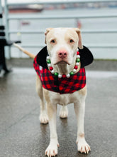 Load image into Gallery viewer, Deck the Halls Bead Collar