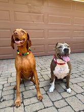 Load image into Gallery viewer, Reggae Stripes Bead Collar