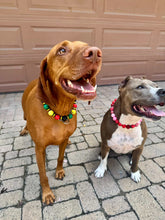 Load image into Gallery viewer, Reggae Stripes Bead Collar