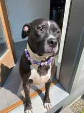 Load image into Gallery viewer, Cosmic Frost Bead Collar