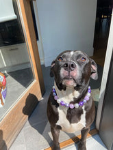 Load image into Gallery viewer, Cosmic Frost Bead Collar