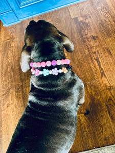 🌼 Multicolor Daisies 🌼 Silicone Bead Collar